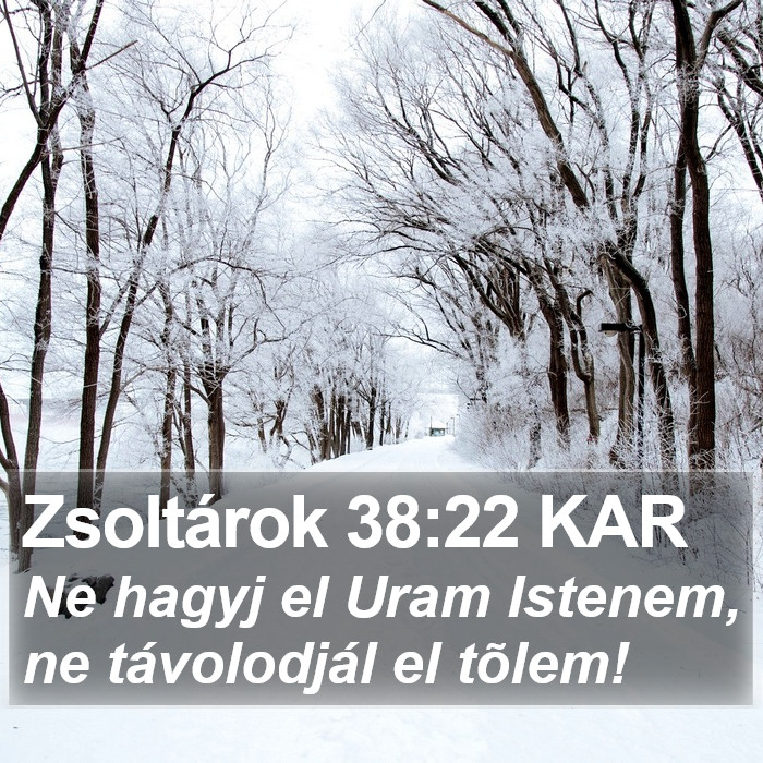 Zsoltárok 38:22 KAR Bible Study