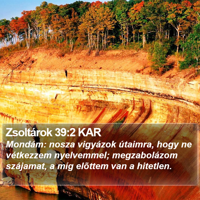 Zsoltárok 39:2 KAR Bible Study