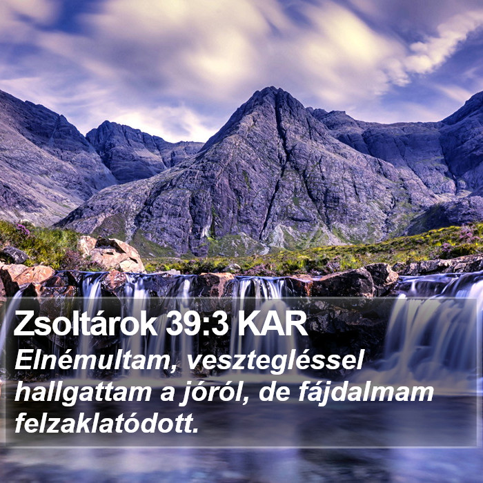 Zsoltárok 39:3 KAR Bible Study