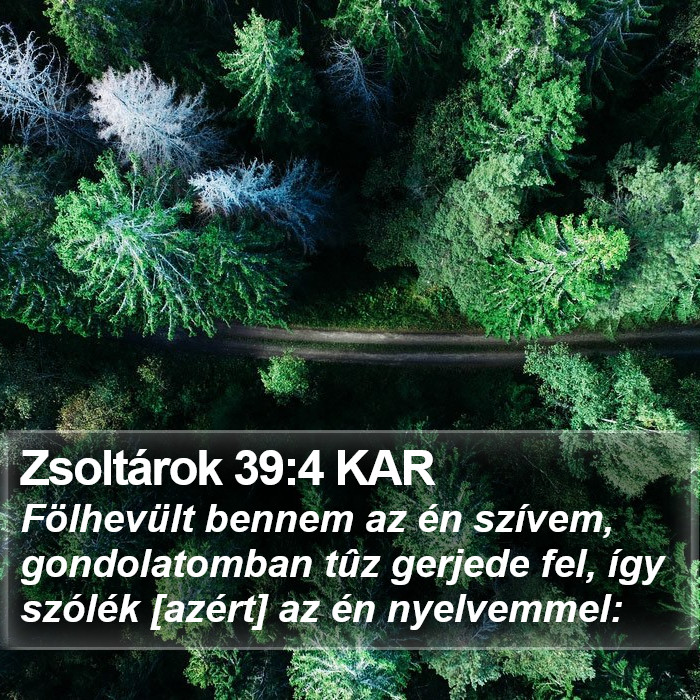 Zsoltárok 39:4 KAR Bible Study