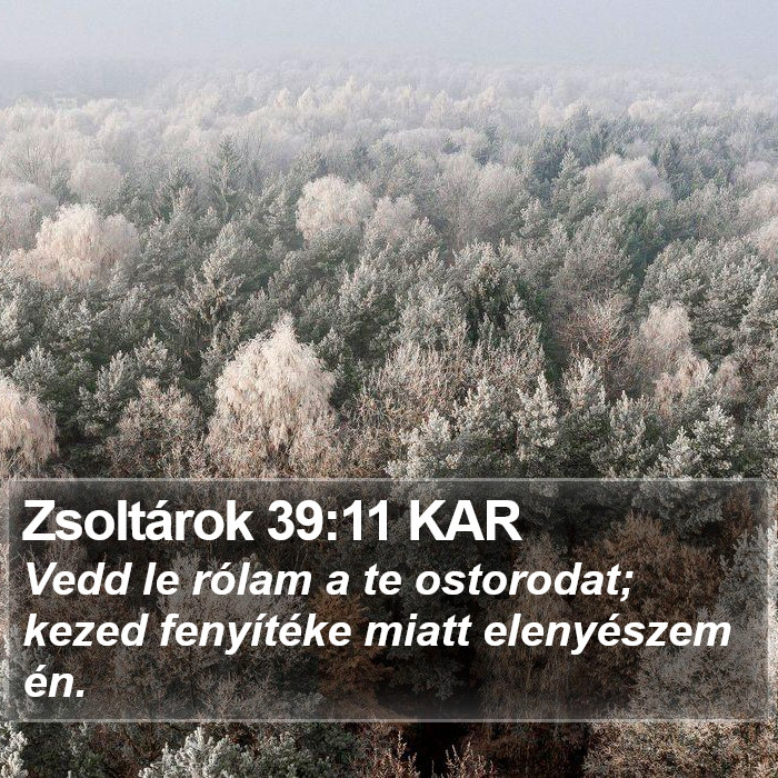 Zsoltárok 39:11 KAR Bible Study