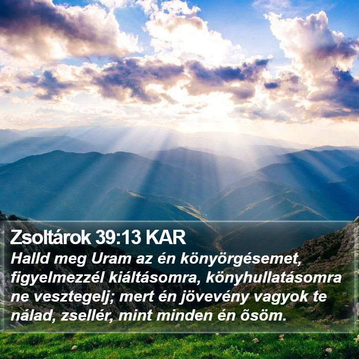 Zsoltárok 39:13 KAR Bible Study