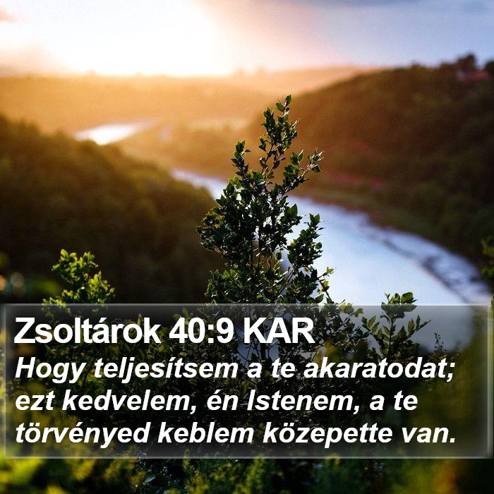 Zsoltárok 40:9 KAR Bible Study