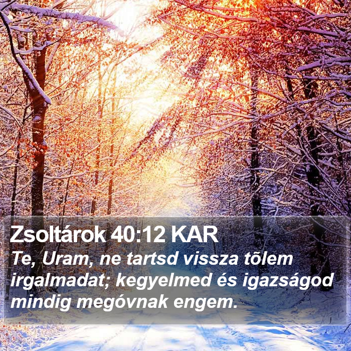 Zsoltárok 40:12 KAR Bible Study