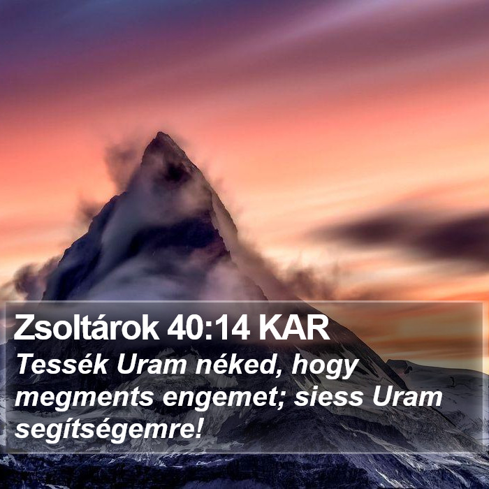 Zsoltárok 40:14 KAR Bible Study