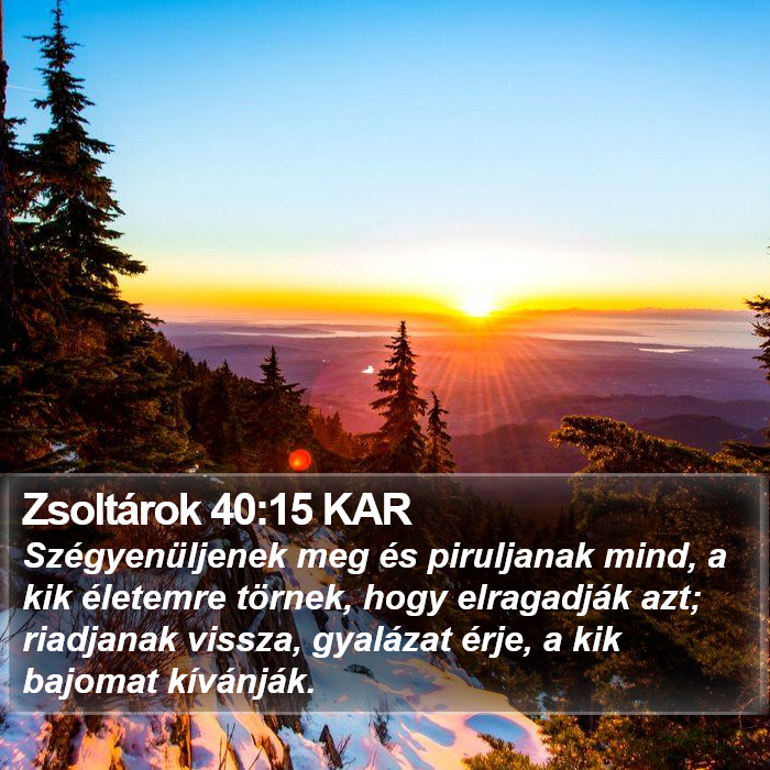 Zsoltárok 40:15 KAR Bible Study