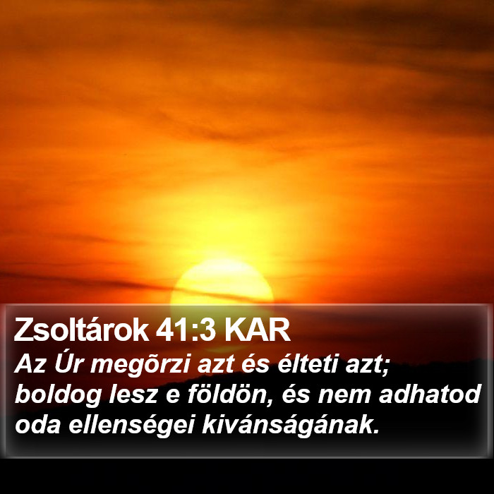 Zsoltárok 41:3 KAR Bible Study