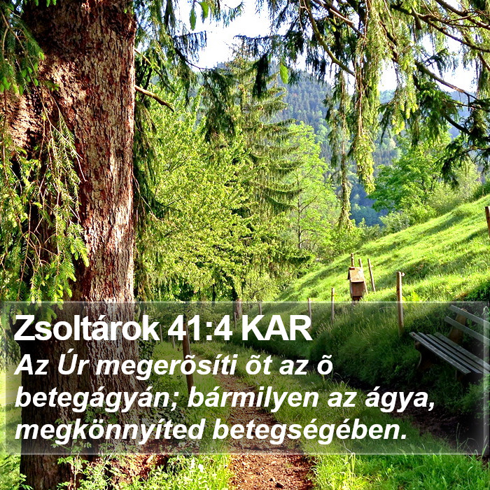 Zsoltárok 41:4 KAR Bible Study