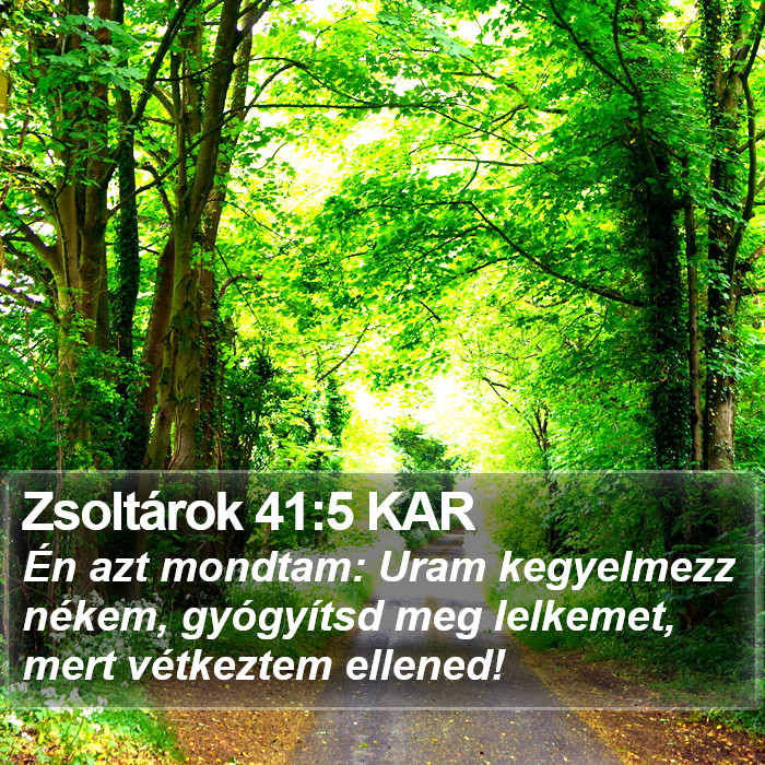 Zsoltárok 41:5 KAR Bible Study