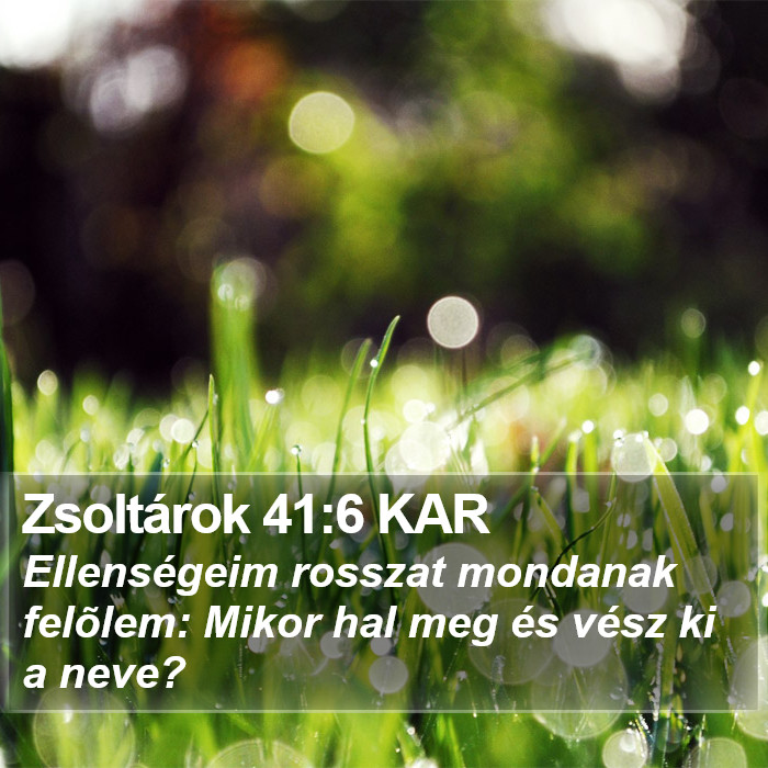 Zsoltárok 41:6 KAR Bible Study