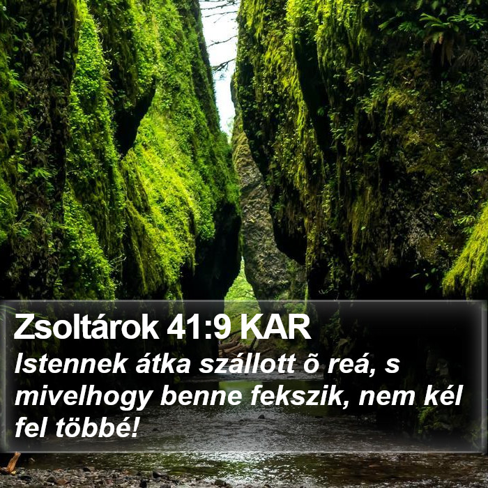 Zsoltárok 41:9 KAR Bible Study