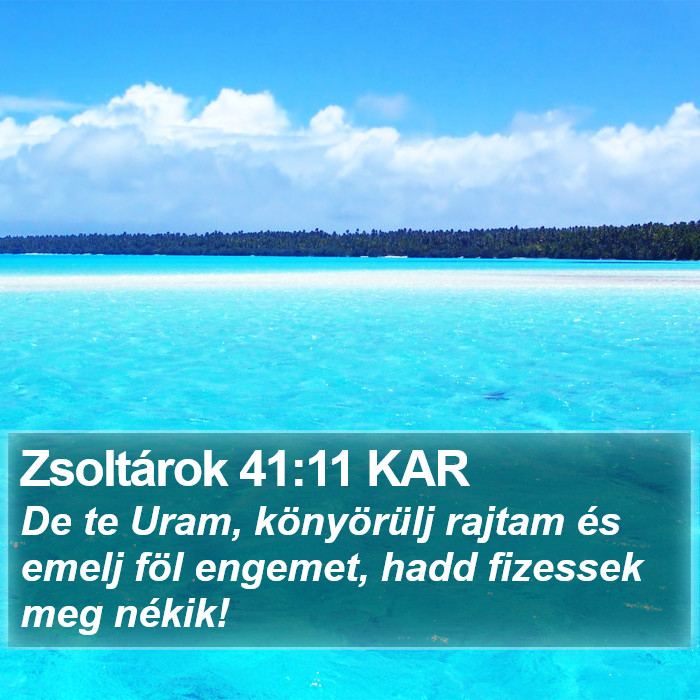 Zsoltárok 41:11 KAR Bible Study