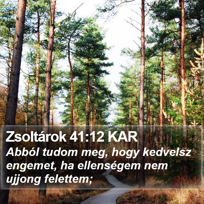 Zsoltárok 41:12 KAR Bible Study