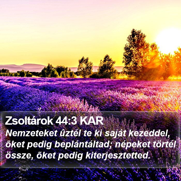 Zsoltárok 44:3 KAR Bible Study