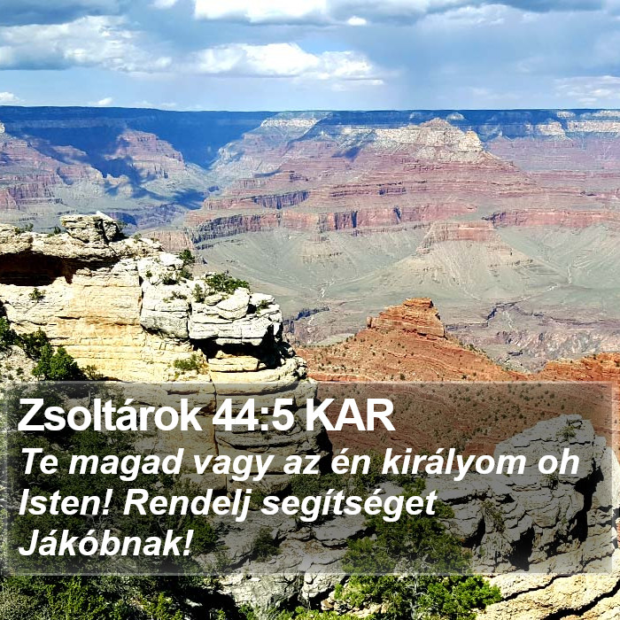 Zsoltárok 44:5 KAR Bible Study