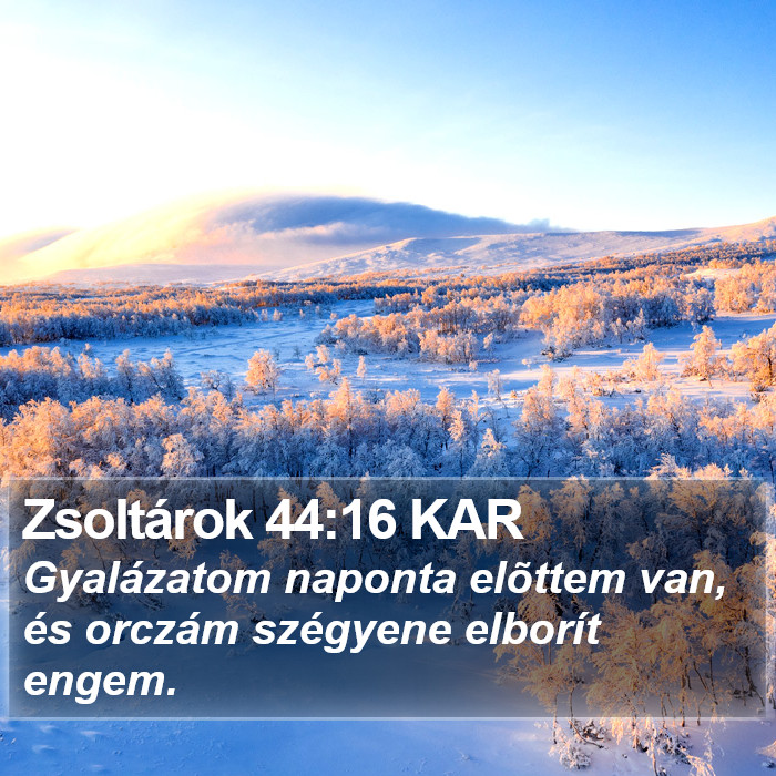 Zsoltárok 44:16 KAR Bible Study