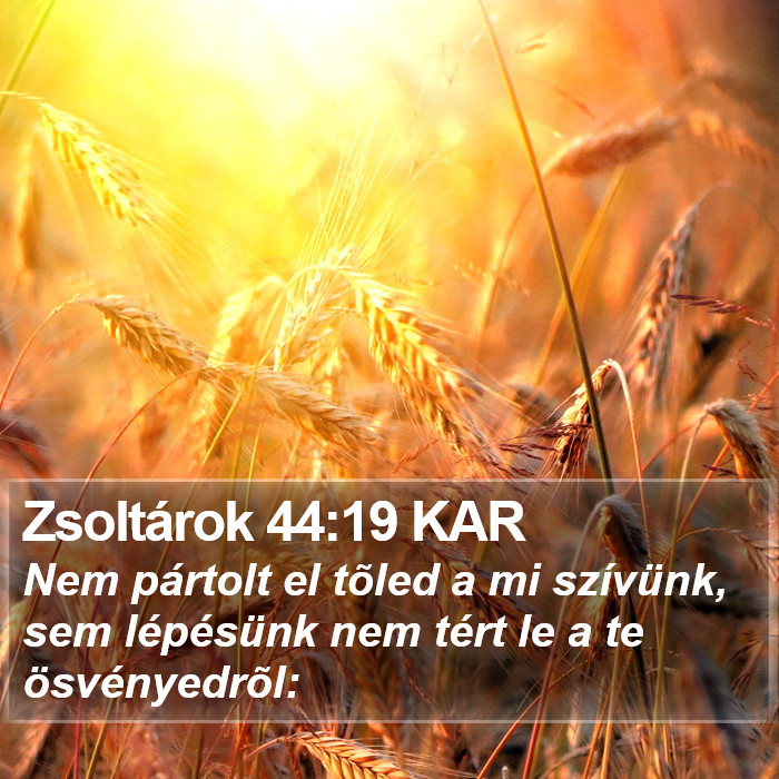 Zsoltárok 44:19 KAR Bible Study