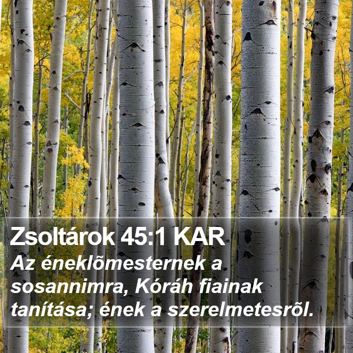 Zsoltárok 45:1 KAR Bible Study