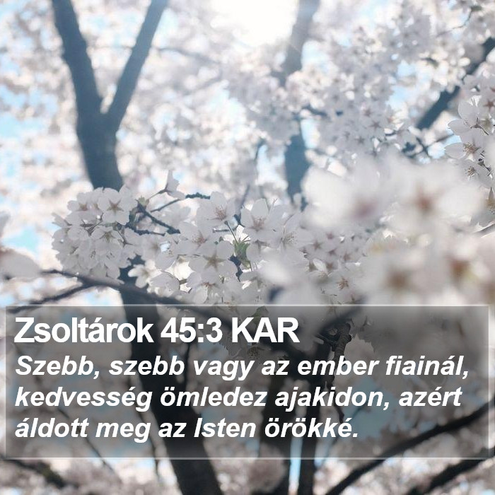 Zsoltárok 45:3 KAR Bible Study