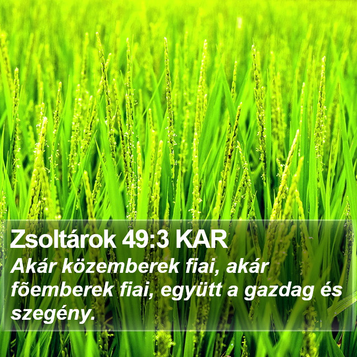 Zsoltárok 49:3 KAR Bible Study