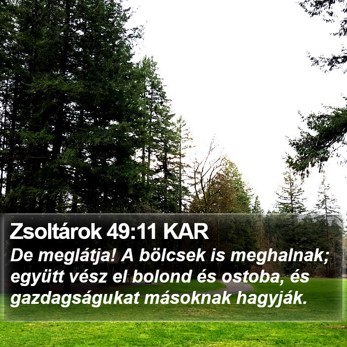 Zsoltárok 49:11 KAR Bible Study