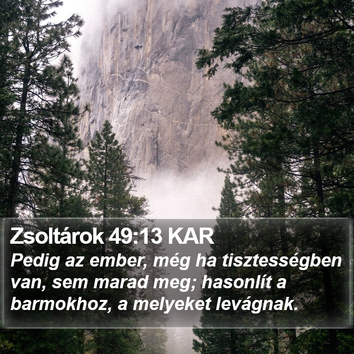 Zsoltárok 49:13 KAR Bible Study