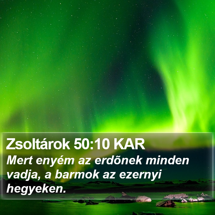 Zsoltárok 50:10 KAR Bible Study