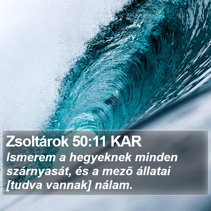 Zsoltárok 50:11 KAR Bible Study