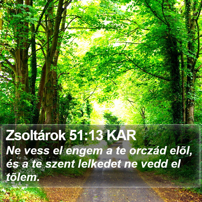 Zsoltárok 51:13 KAR Bible Study