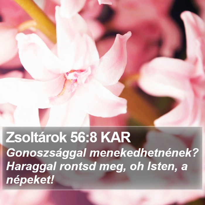 Zsoltárok 56:8 KAR Bible Study