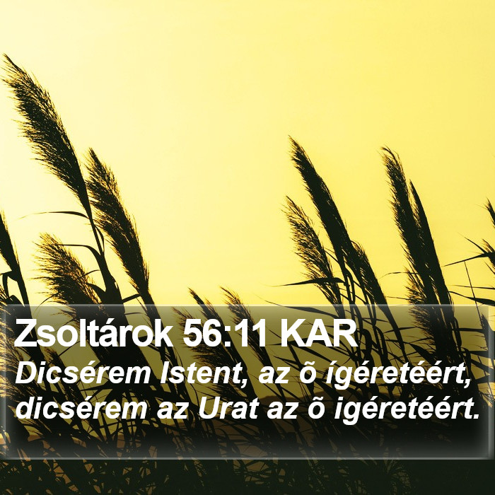 Zsoltárok 56:11 KAR Bible Study