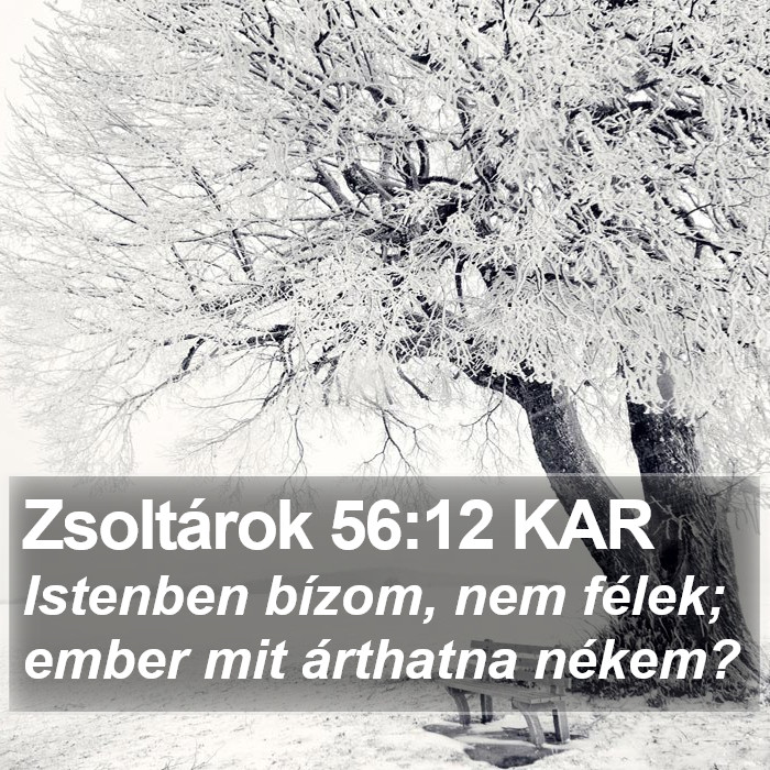 Zsoltárok 56:12 KAR Bible Study