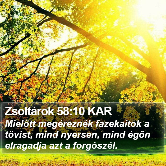 Zsoltárok 58:10 KAR Bible Study