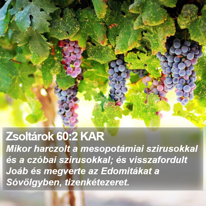 Zsoltárok 60:2 KAR Bible Study