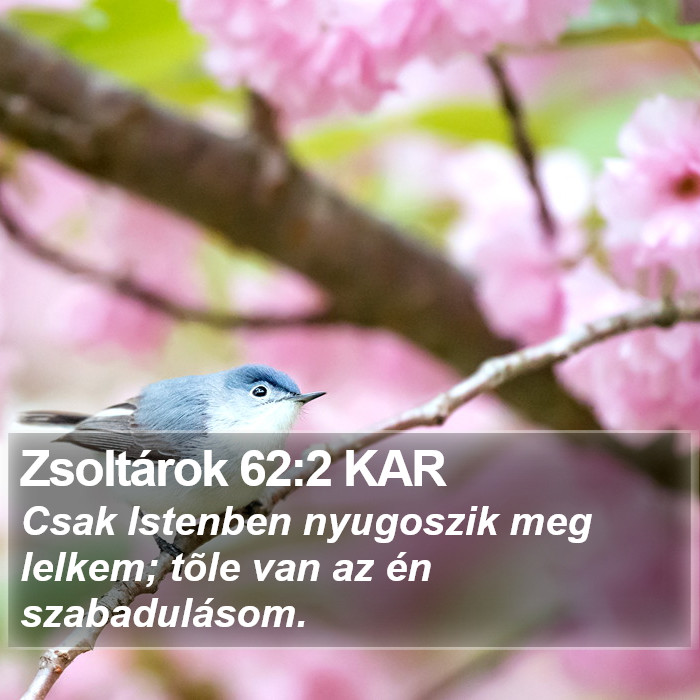 Zsoltárok 62:2 KAR Bible Study