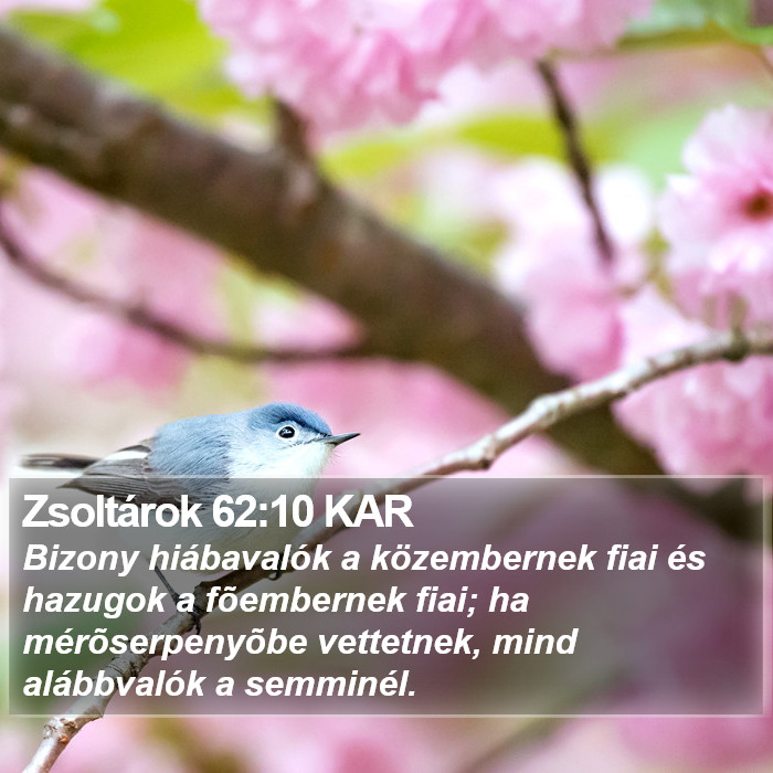 Zsoltárok 62:10 KAR Bible Study