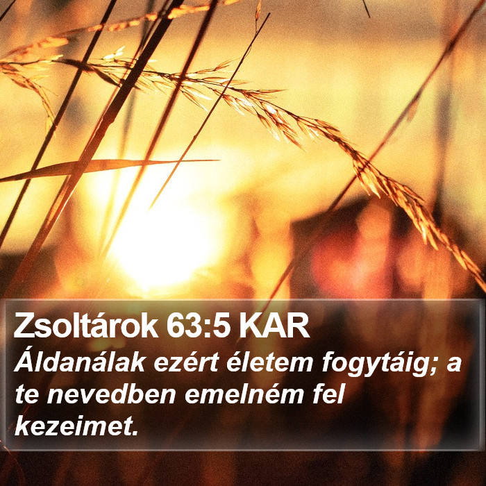 Zsoltárok 63:5 KAR Bible Study