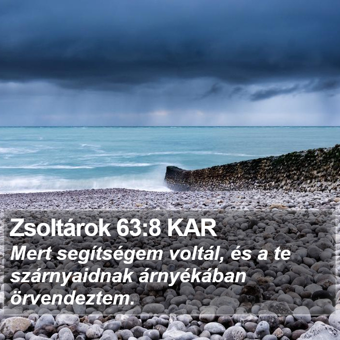 Zsoltárok 63:8 KAR Bible Study