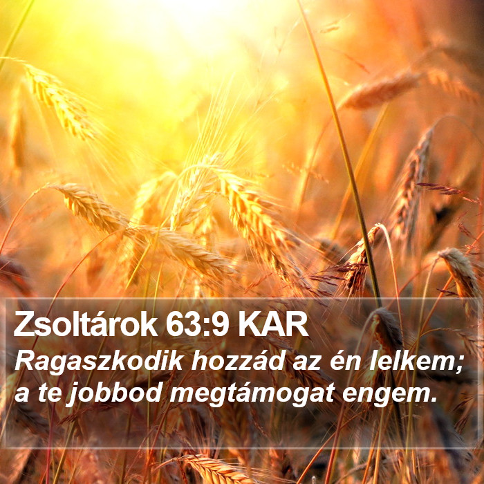 Zsoltárok 63:9 KAR Bible Study