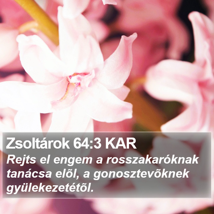 Zsoltárok 64:3 KAR Bible Study