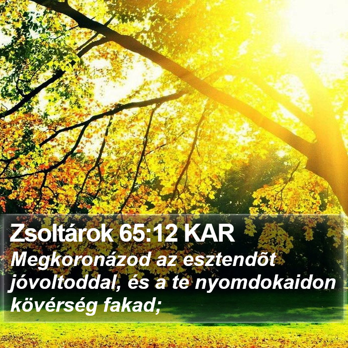 Zsoltárok 65:12 KAR Bible Study