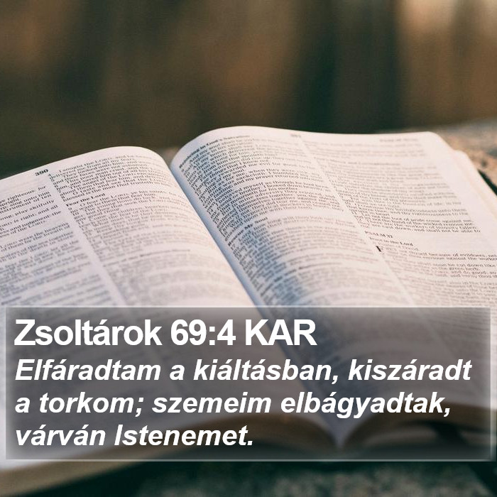 Zsoltárok 69:4 KAR Bible Study