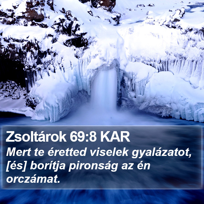 Zsoltárok 69:8 KAR Bible Study