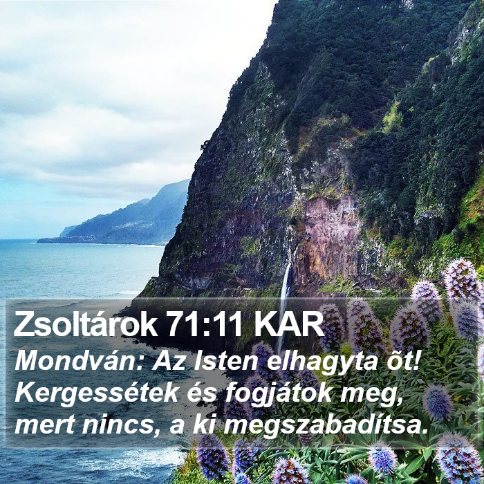 Zsoltárok 71:11 KAR Bible Study