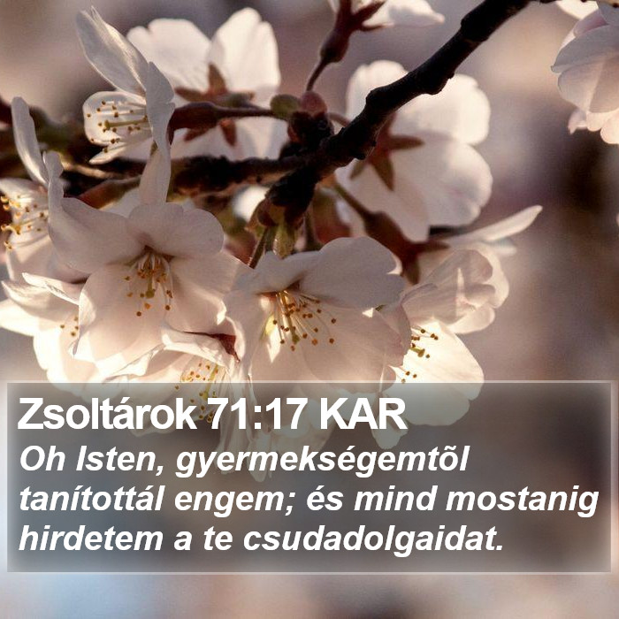 Zsoltárok 71:17 KAR Bible Study