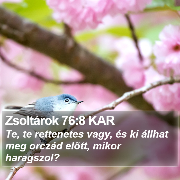 Zsoltárok 76:8 KAR Bible Study