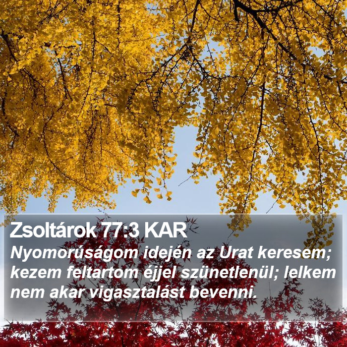 Zsoltárok 77:3 KAR Bible Study