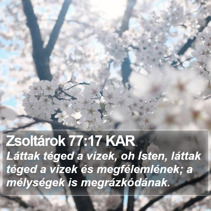 Zsoltárok 77:17 KAR Bible Study