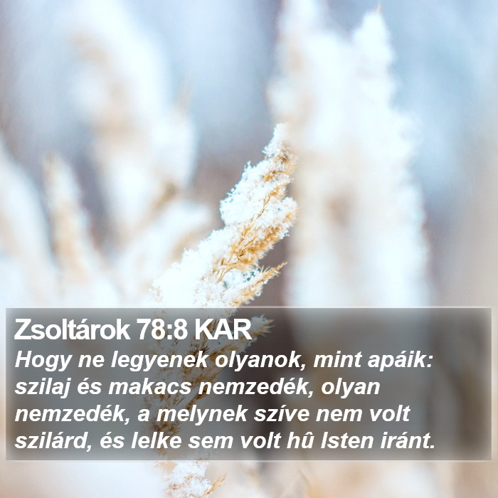 Zsoltárok 78:8 KAR Bible Study