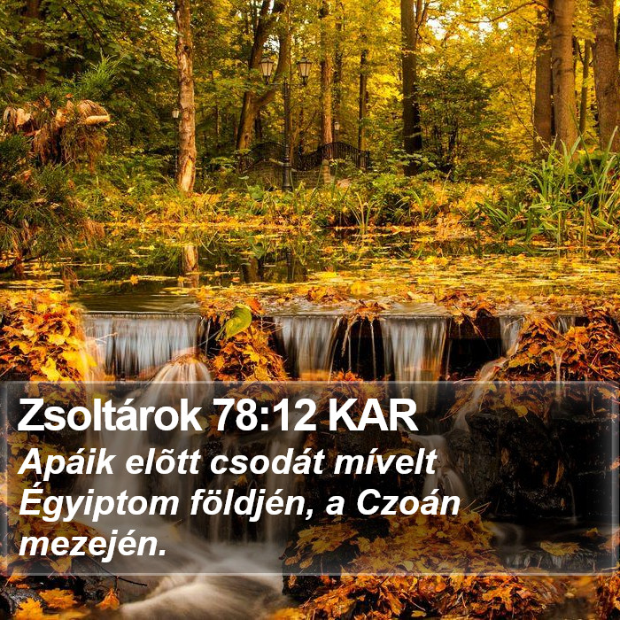 Zsoltárok 78:12 KAR Bible Study